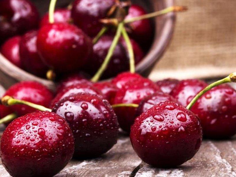 Вишня купить саженцы из питомника в Воронеже